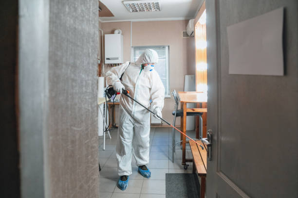 Best Crawl Space Mold Remediation  in French Valley, CA