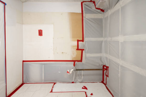 Best Airborne Mold Testing  in French Valley, CA