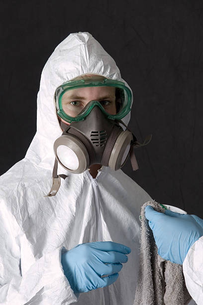 Best Asbestos and Lead Testing During Mold Inspection  in French Valley, CA